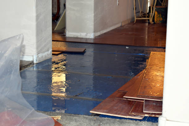 Professional Burst Pipe Cleanup technician working in Long Key, FL
